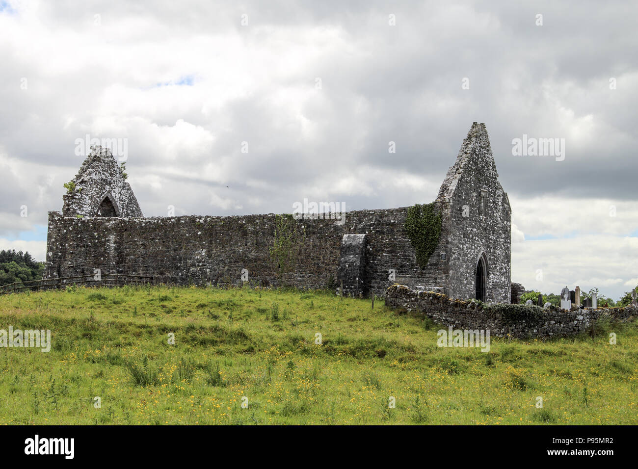 Rovine dell'abbazia di Fenagh, nella Contea di Leitrim, Irlanda del Nord Foto Stock