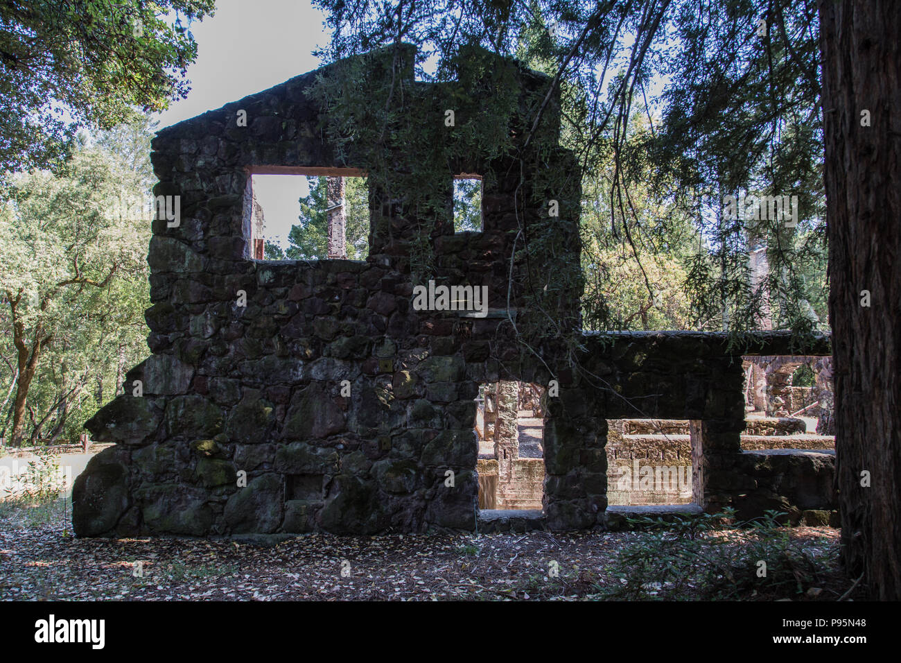 Flussi di luce del sole attraverso le aperture di Jack London home abbandonato nella foresta di Glen Ellen, California, chiamato Casa Wolf. Foto Stock