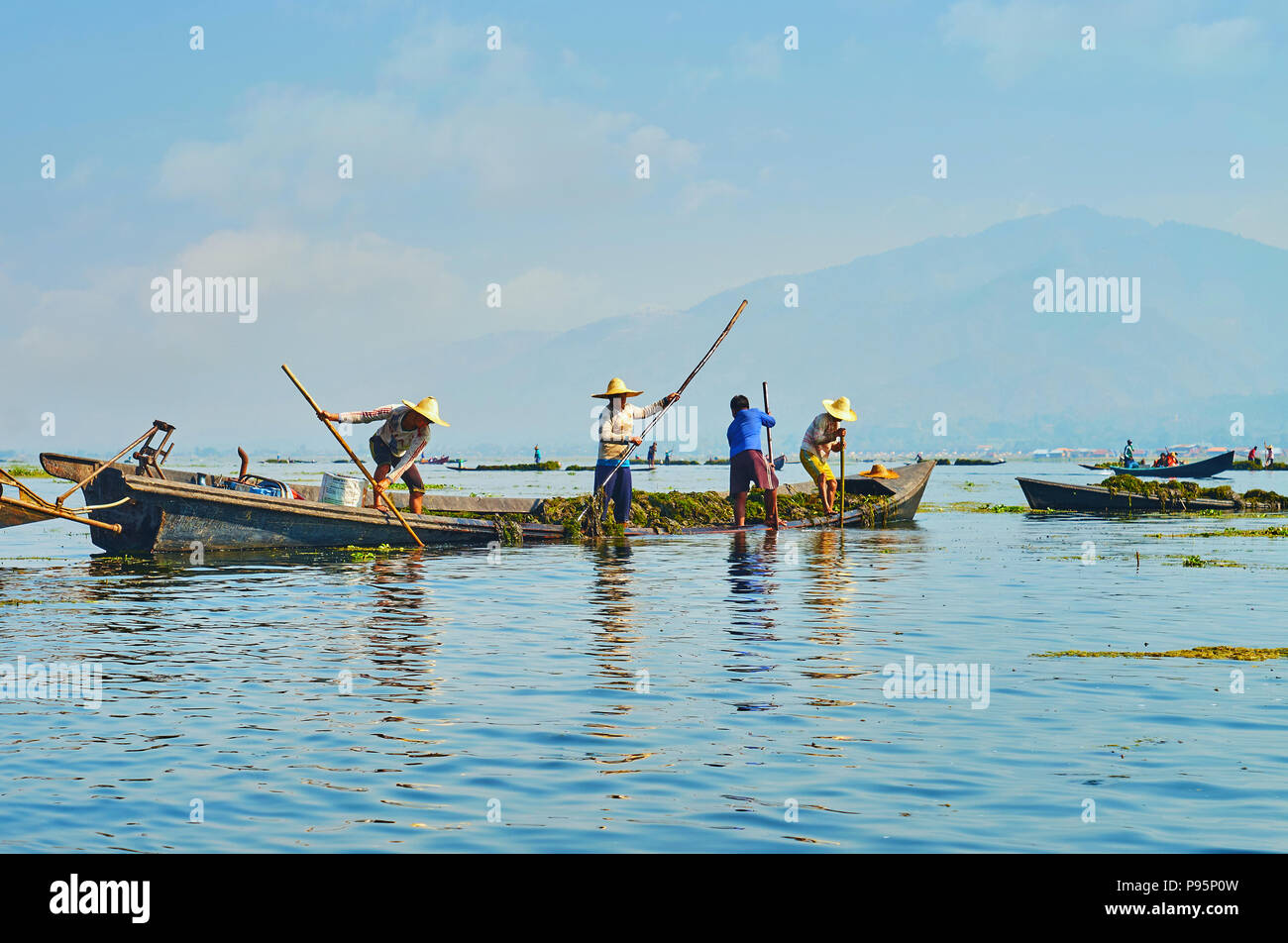 INTHA, MYANMAR - 18 febbraio 2018: i lavoratori locali di aziende agricole flottante raccogliere le erbacce in barca sul Lago Inle, il 18 febbraio in Intha. Foto Stock