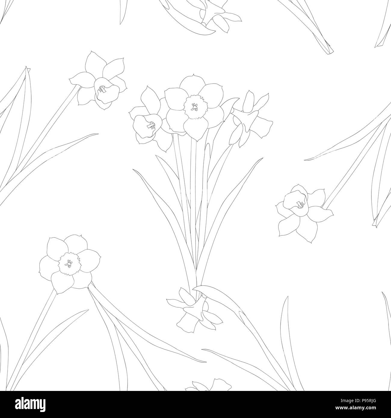 Daffodil - Narciso su sfondo bianco. Illustrazione Vettoriale. Illustrazione Vettoriale