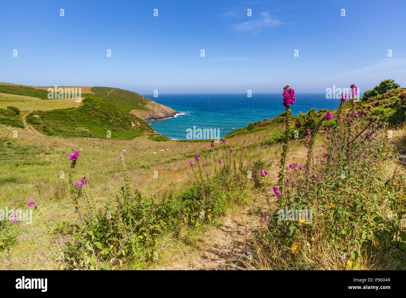 Vista di nsi testa in Cornwall Regno Unito Foto Stock