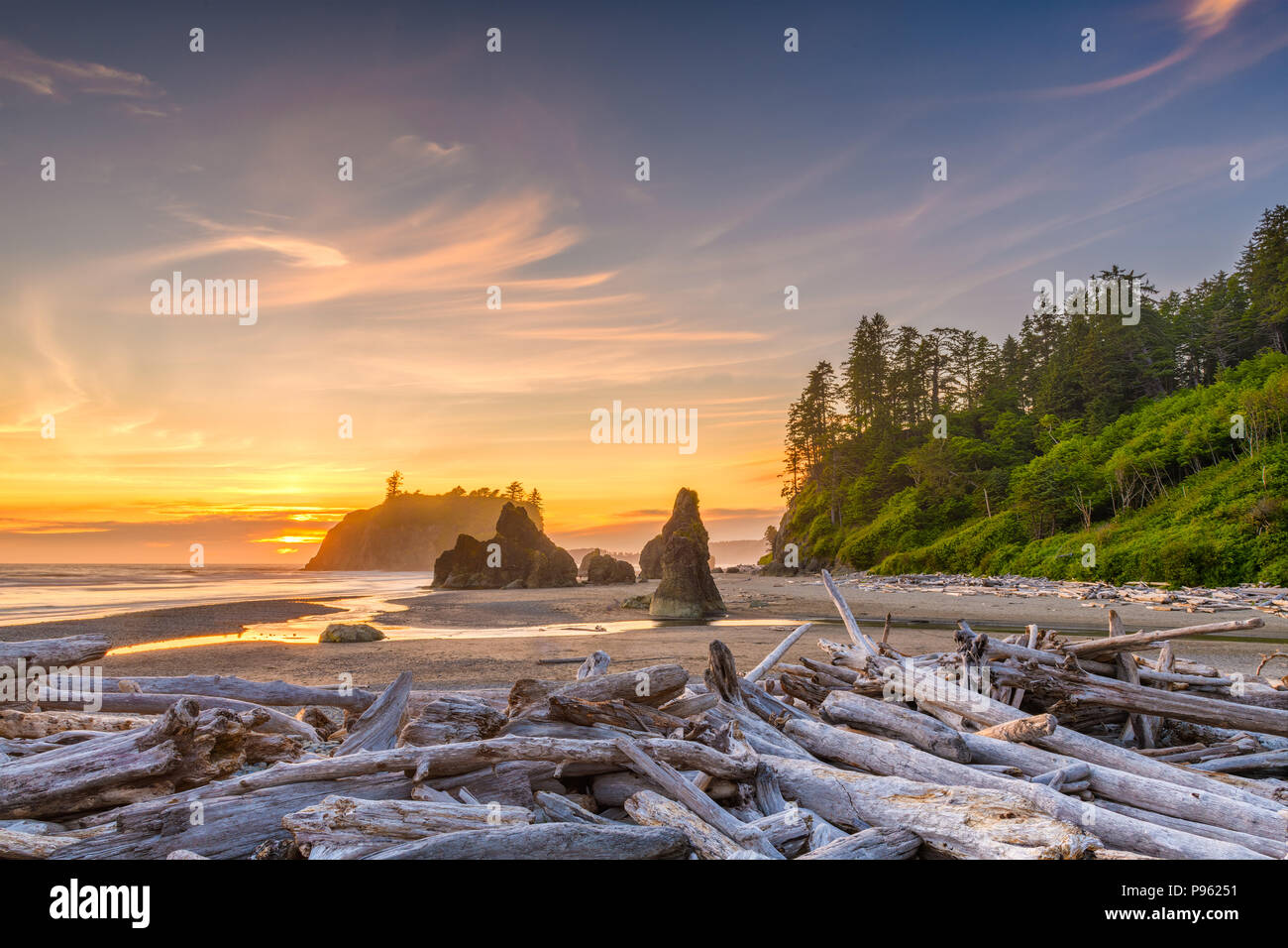 Il Parco nazionale di Olympic, Washington, Stati Uniti d'America al Ruby Beach con pile di deadwood. Foto Stock