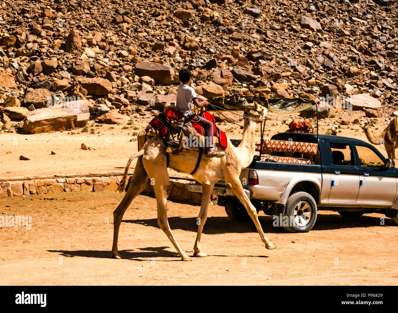 Giovane ragazzo a dorso di un cammello al campo beduino, Wadi Rum vallata desertica, Giordania, Medio Oriente Foto Stock