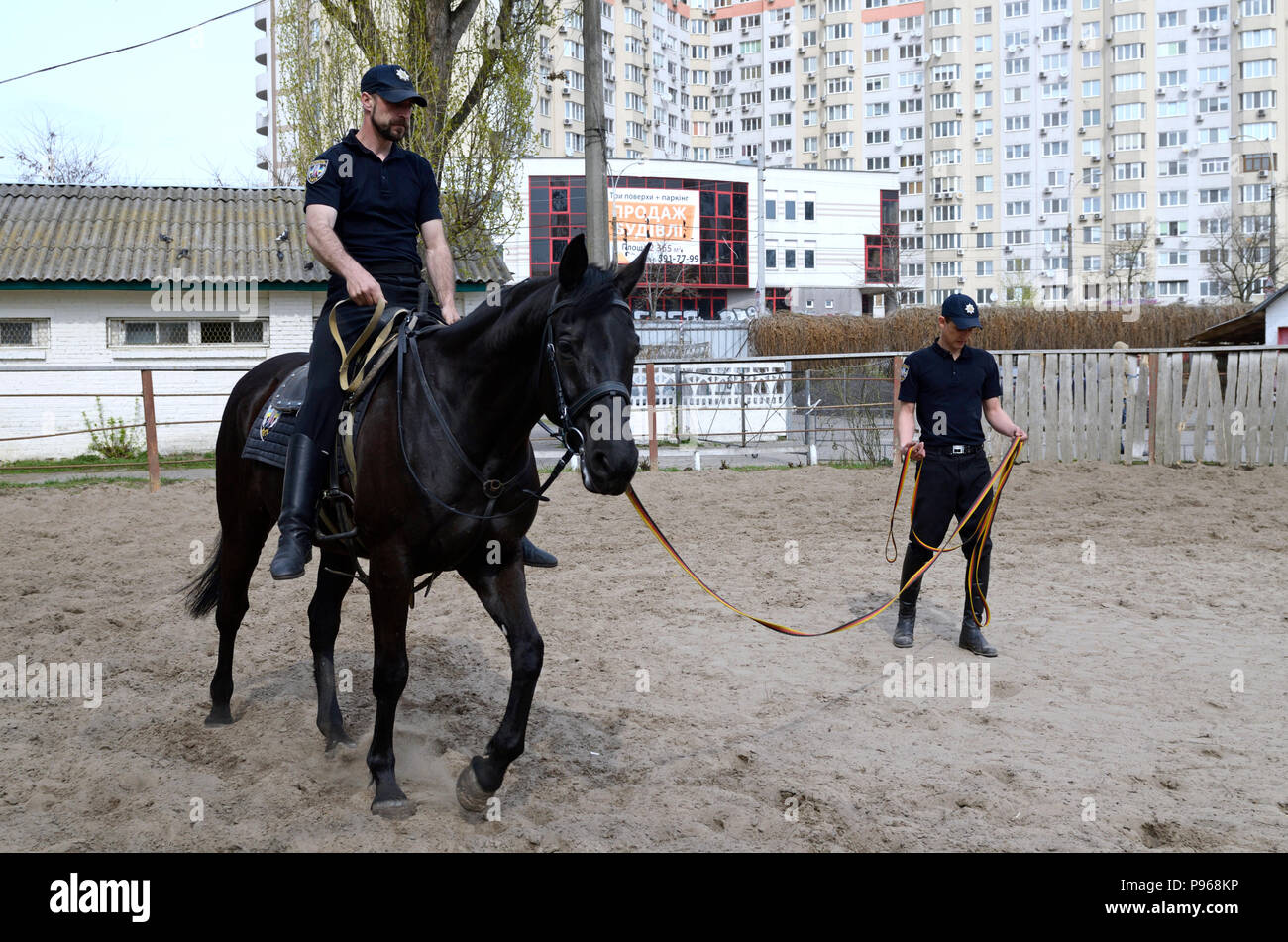 Addestramento dei cavalli. Trainer di polizia che conduce a cavallo con un cavaliere in un cerchio di un paddock. Giugno 12, 2018. A Kiev, Ucraina Foto Stock