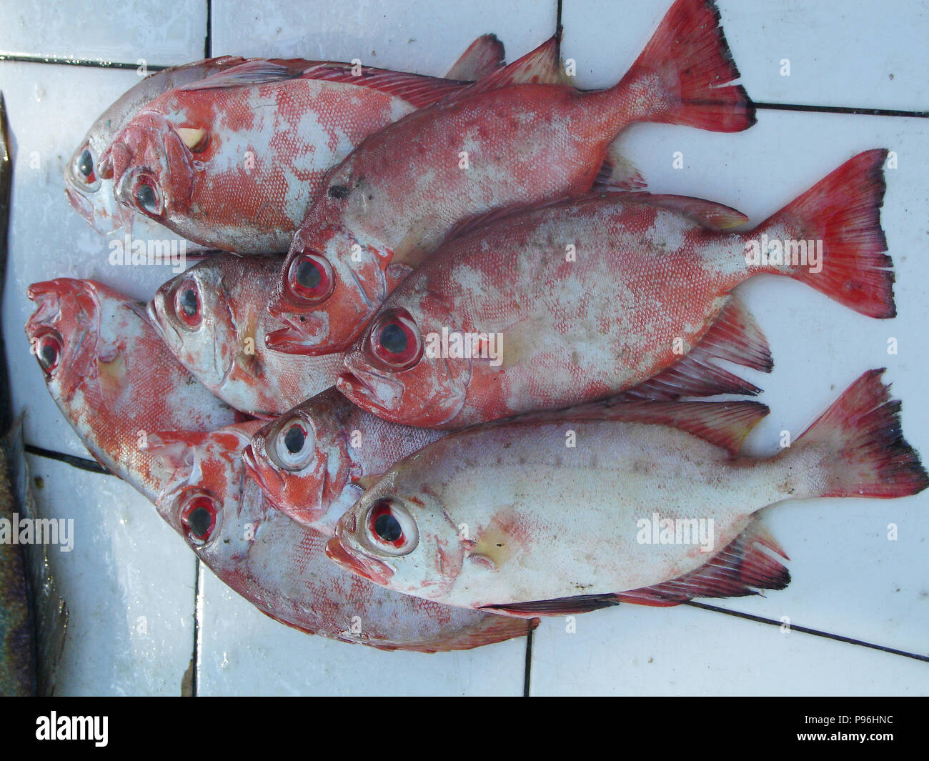 Pesci, sulla spiaggia di Copacabana, Rio de Janeiro, Brasile Foto Stock