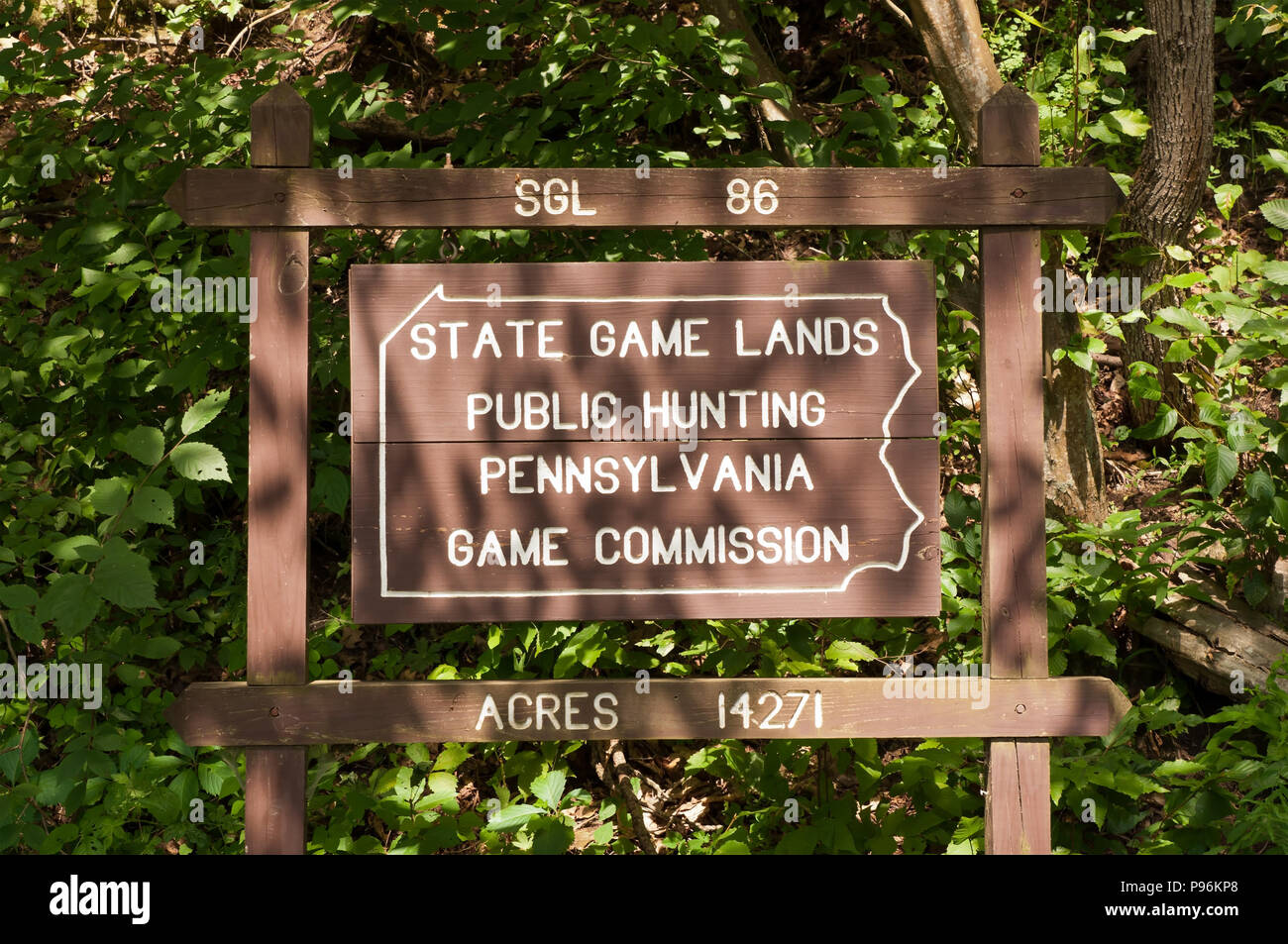 Un gioco di Stato terre segno nei boschi a SGL 86 in Althom, Pennsylvania, USA. Un cartello in legno posto dallo stato mostrato nella luce del sole e ombre Foto Stock