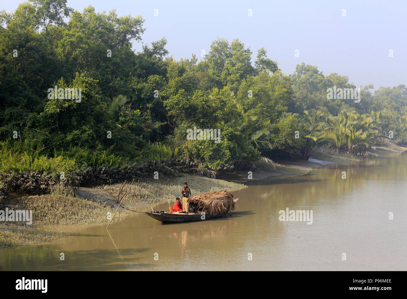 Bangladesh Sundarbans in una nebbiosa mattina d'inverno. Bangladesh Foto Stock