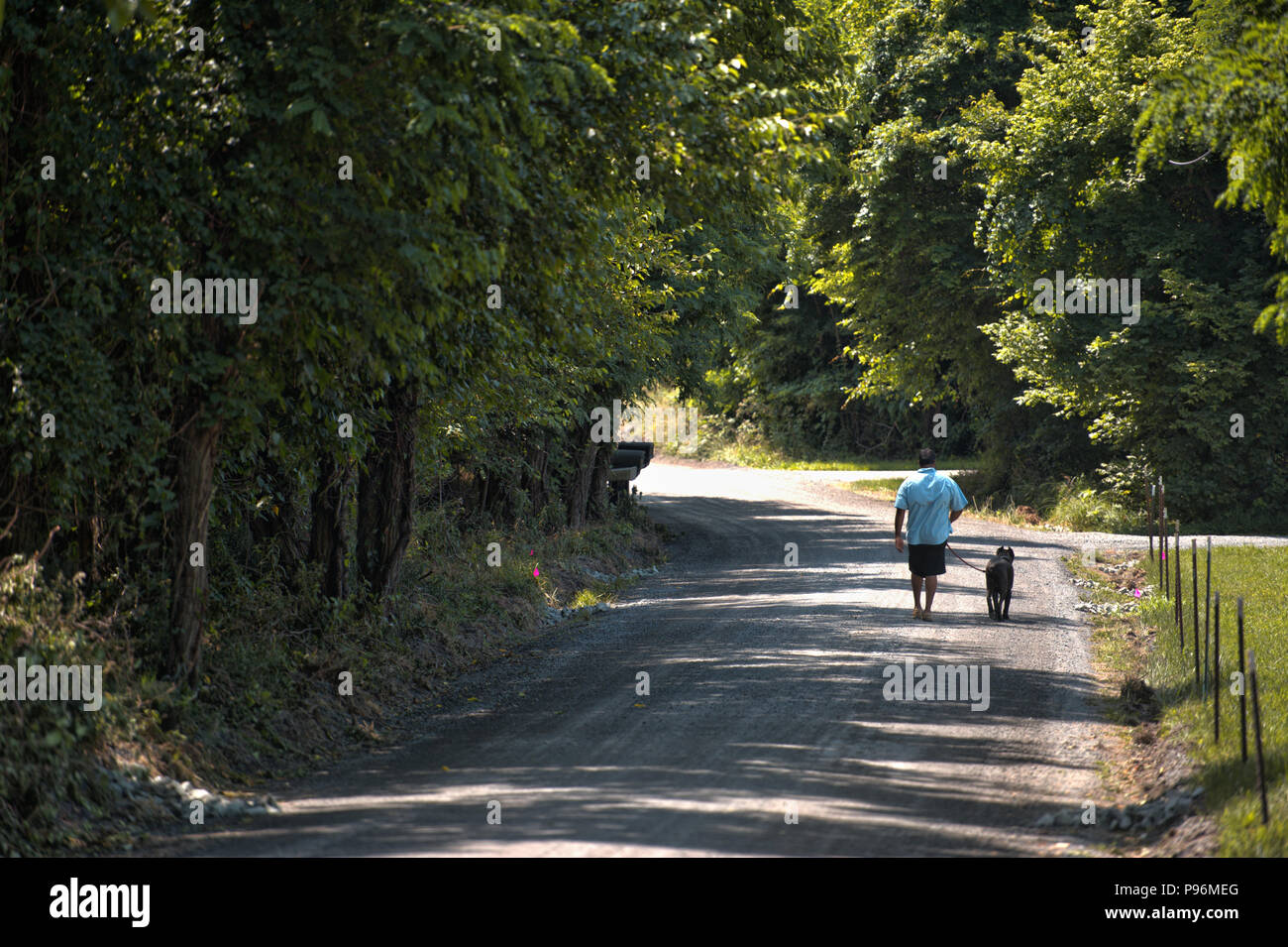 Stati Uniti - Luglio 3, 2017: Western Loudoun storica strada sterrata noto come Greggsville strada al di fuori del villaggio di Philomont. Molti di sporcizia roa Foto Stock