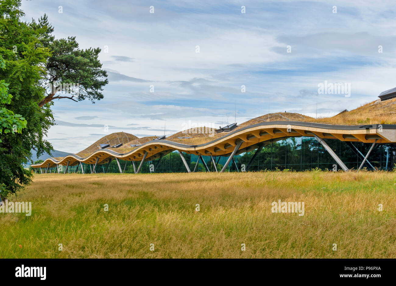 MACALLAN DISTILLERY CRAIGELLACHIE MORAY Scozia superbo E NUOVO DESIGN PER UN WHISKY SCOZZESE distilleria con erbe estate crescente sul tetto Foto Stock