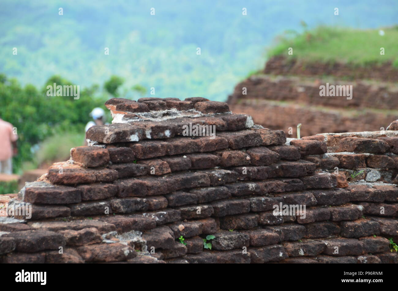 Serpente nascosto sulla montagna di Sigiriya, Sri Lanka Foto Stock