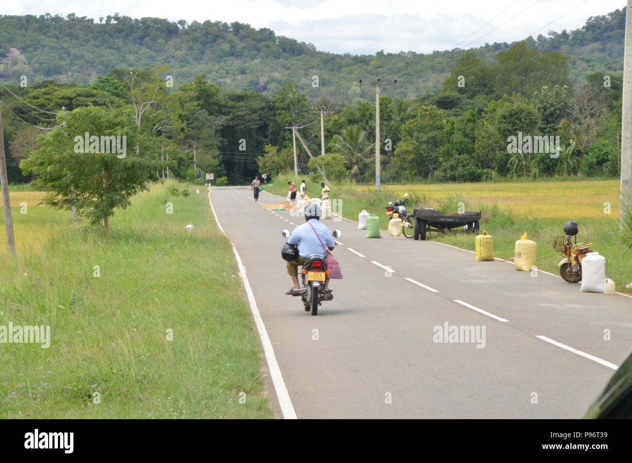 Il governo dello Sri Lanka roadtrip Foto Stock