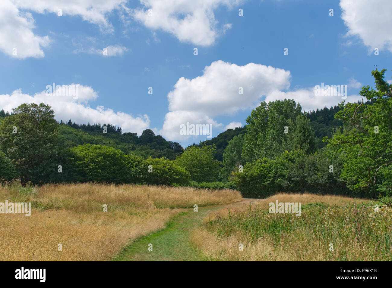 Canonteign Falls e laghi, Teign Valley, Devon England Regno Unito Foto Stock