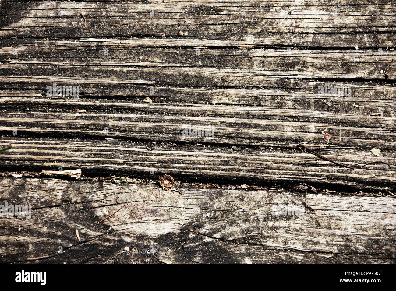 Close-up di legno ruvido per gli sfondi Foto Stock
