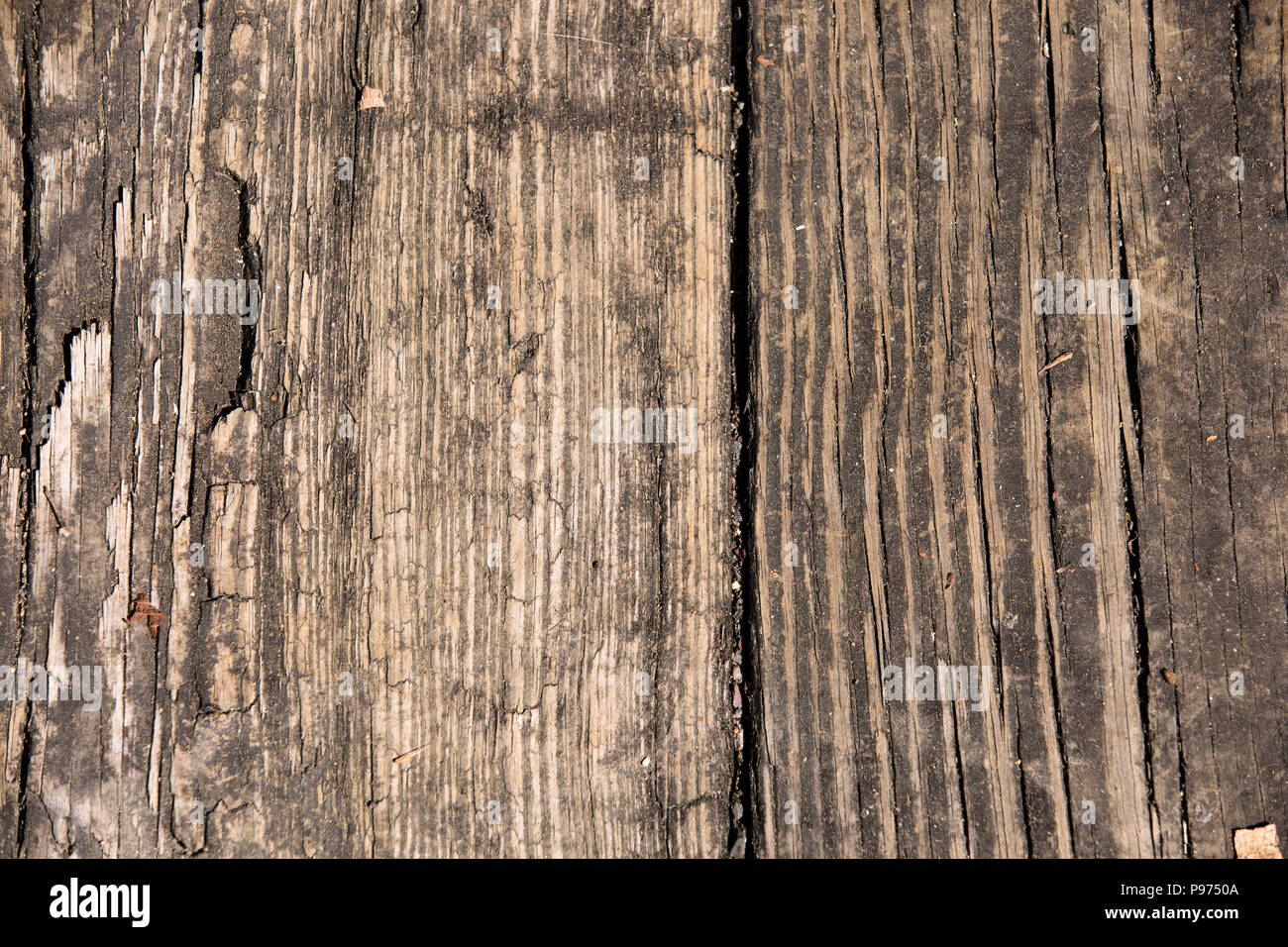 Close-up texture di legno per lo sfondo Foto Stock