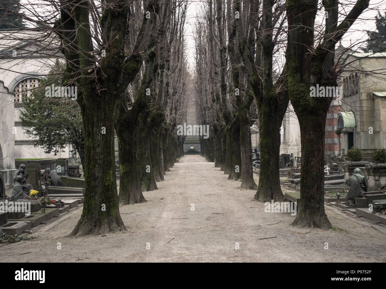 Viale alberato di un cimitero in autunno Foto Stock
