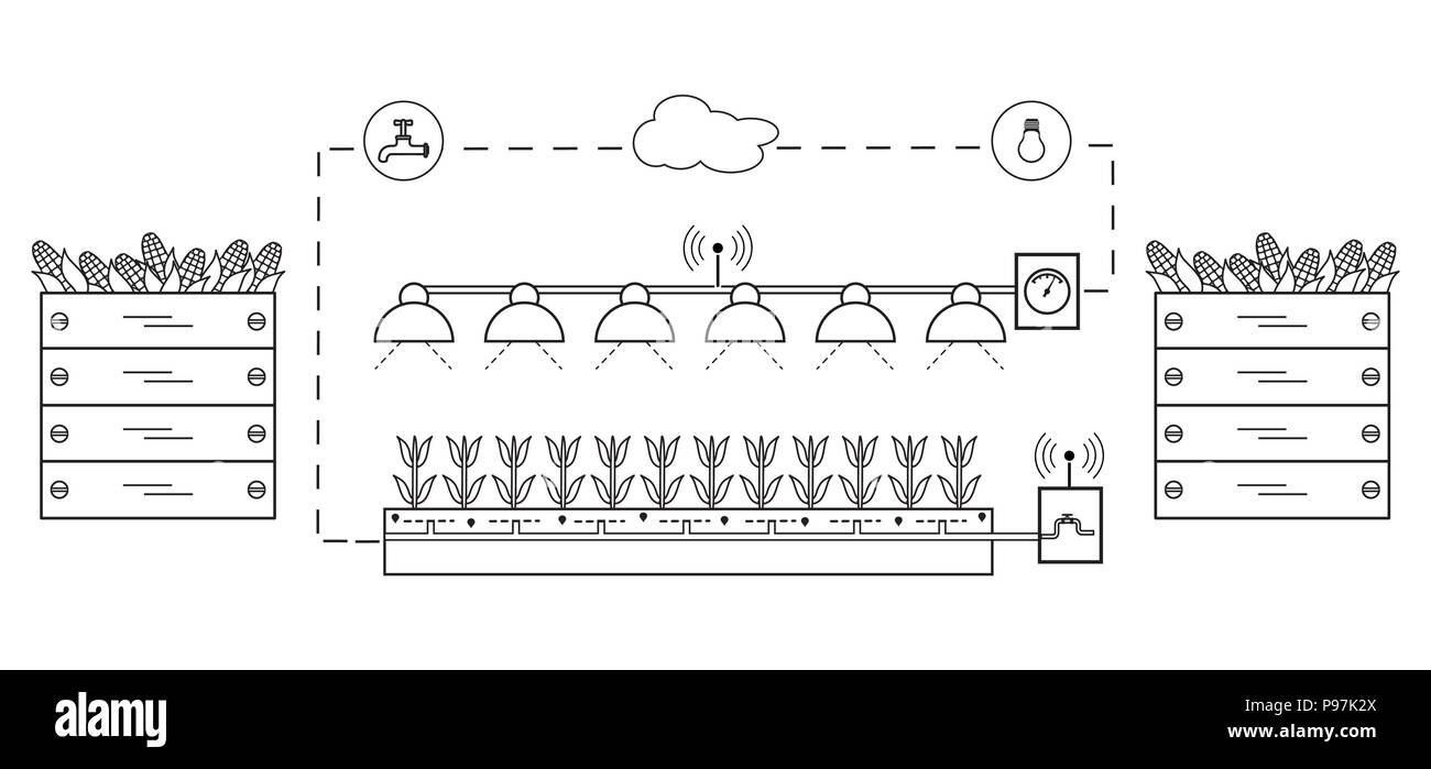Smart farm e agricoltura. Il monitoraggio e il controllo della temperatura, umidità, luce livello. La coltivazione di piante. Le nuove tecnologie. Resa elevata. Illustrazione Vettoriale