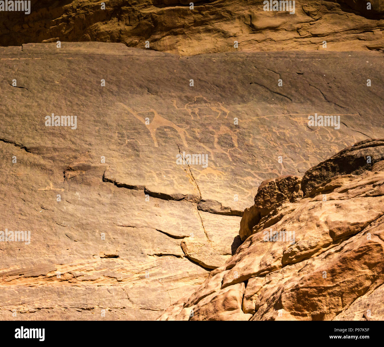 Close up petroglyph incisioni rupestri con cammelli, Wadi Rum vallata desertica, Giordania, Medio Oriente Foto Stock