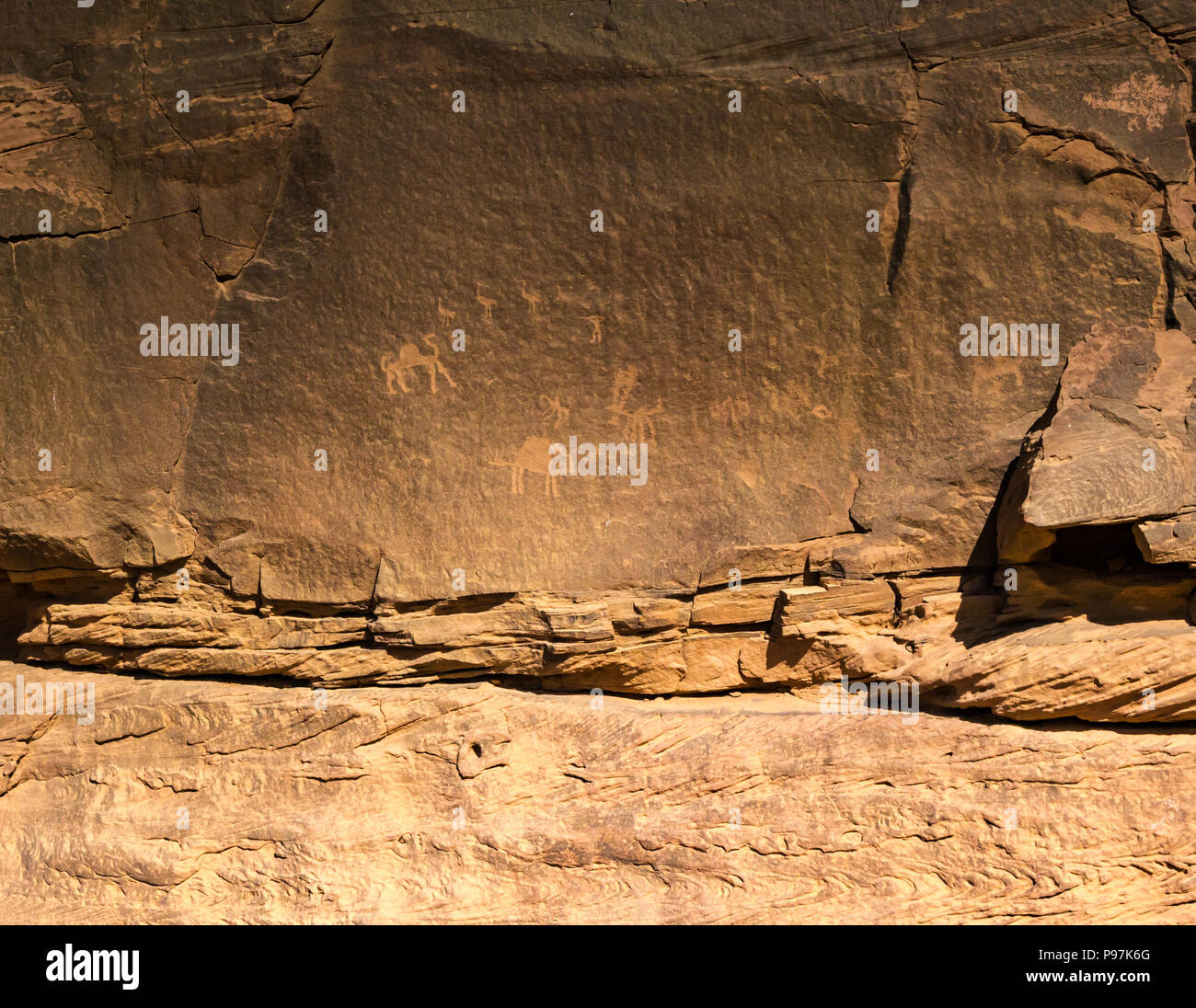 Petroglyph incisioni rupestri del cammello e uccelli Wadi Rum vallata desertica, Giordania, Medio Oriente Foto Stock