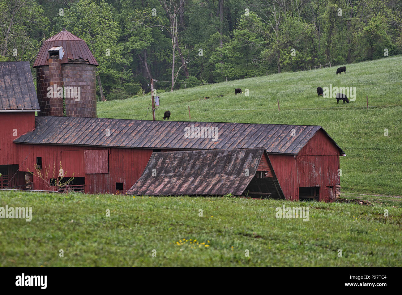 Stati Uniti: Maggio 14, 2018: Oggi la maggior parte dei residenti di Loudoun County non sanno nulla di Williams Gap, anche quelli che vivono sul divario Williams Road (rotta 71 Foto Stock