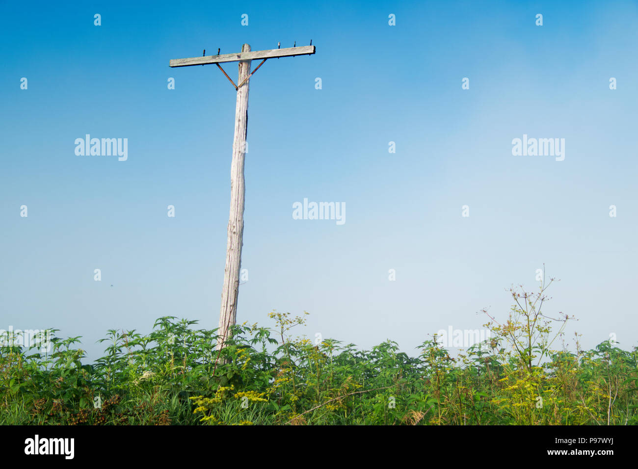Un solitario, out-of-service utility palo stand in inizio di mattina di sole vicino a Richmond, Illinois, Stati Uniti d'America. Foto Stock