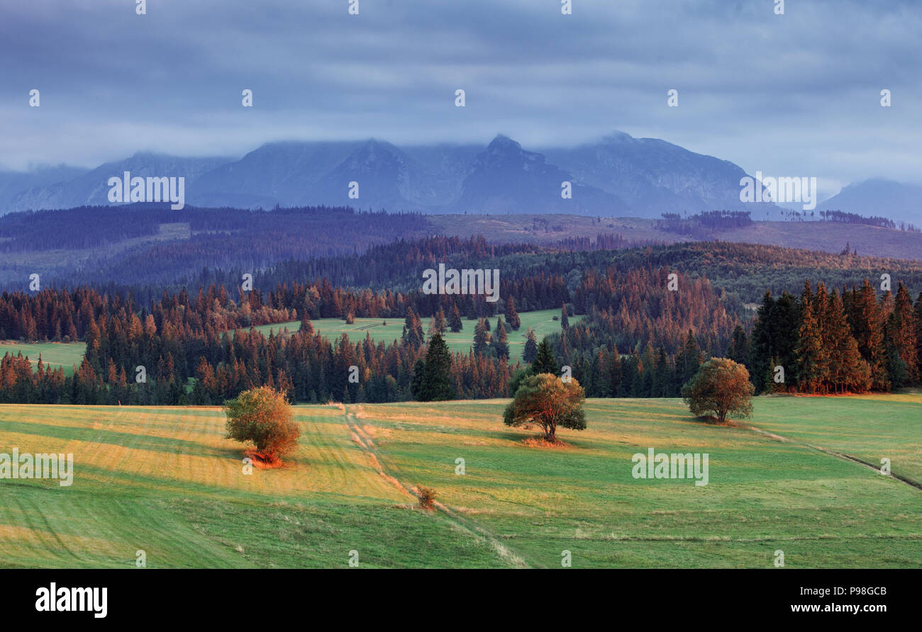 Paesaggio in Pieniny, Slovacchia Foto Stock