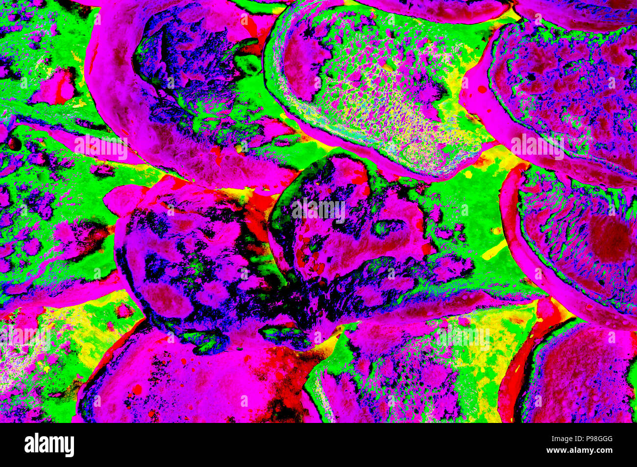 Abstract digital picture del crimson forme arrotondate nuoto in luce-oceano verde Foto Stock
