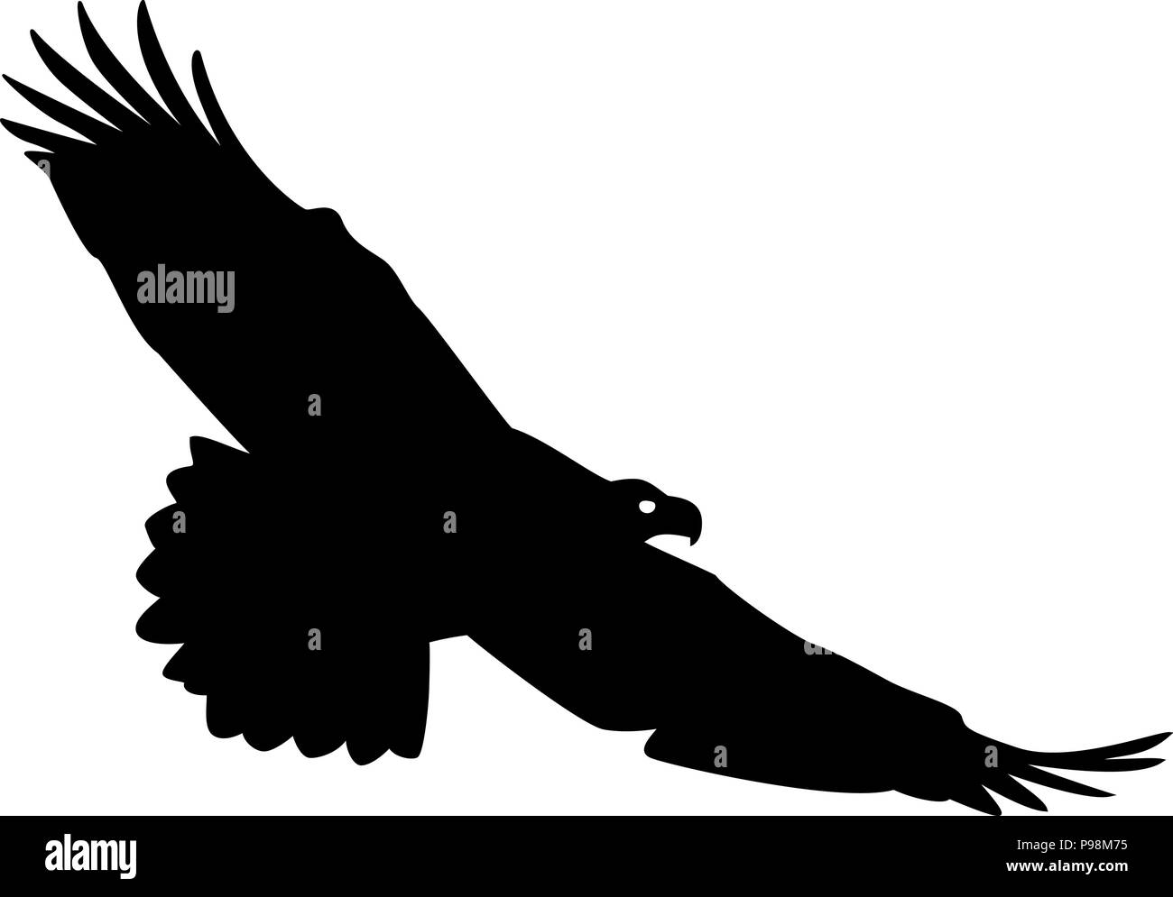 Aquila in volo Illustrazione Vettoriale