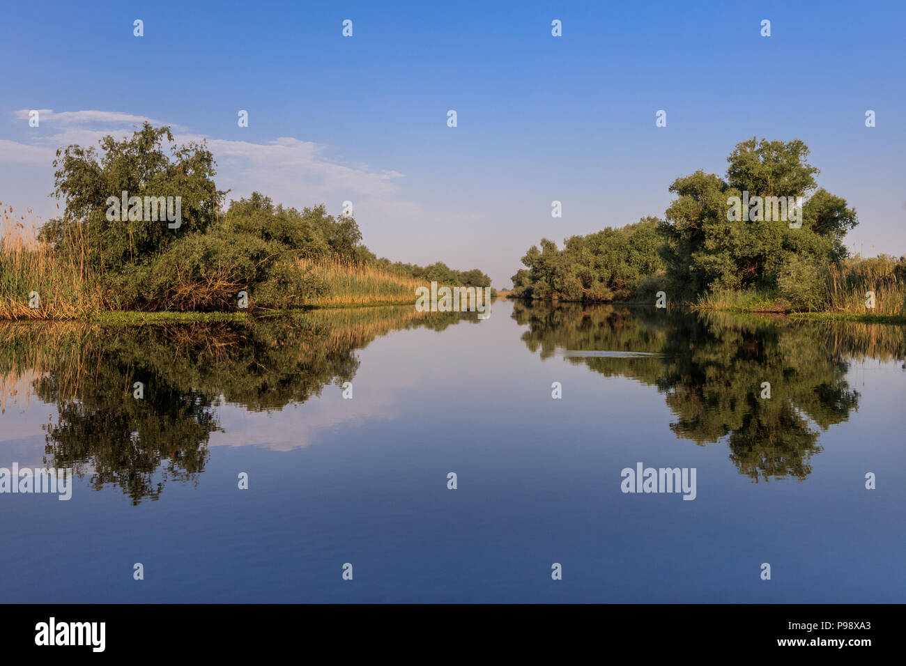 Paesaggio nel Delta del Danubio, Romania, Europa Foto Stock