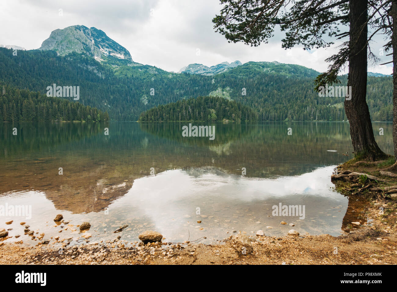 La foresta e limpide acque blu di Crno Jezero (lago Nero) su una tranquilla giornata estiva nel Parco Nazionale del Durmitor, Montenegro Foto Stock