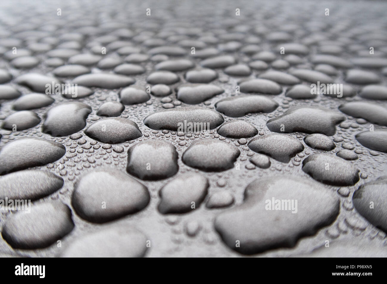 L'acqua piovana ha realizzato innumerevoli singole perle di acqua che sembrano aver riunito e dissolvenza in apertura per la distanza Foto Stock