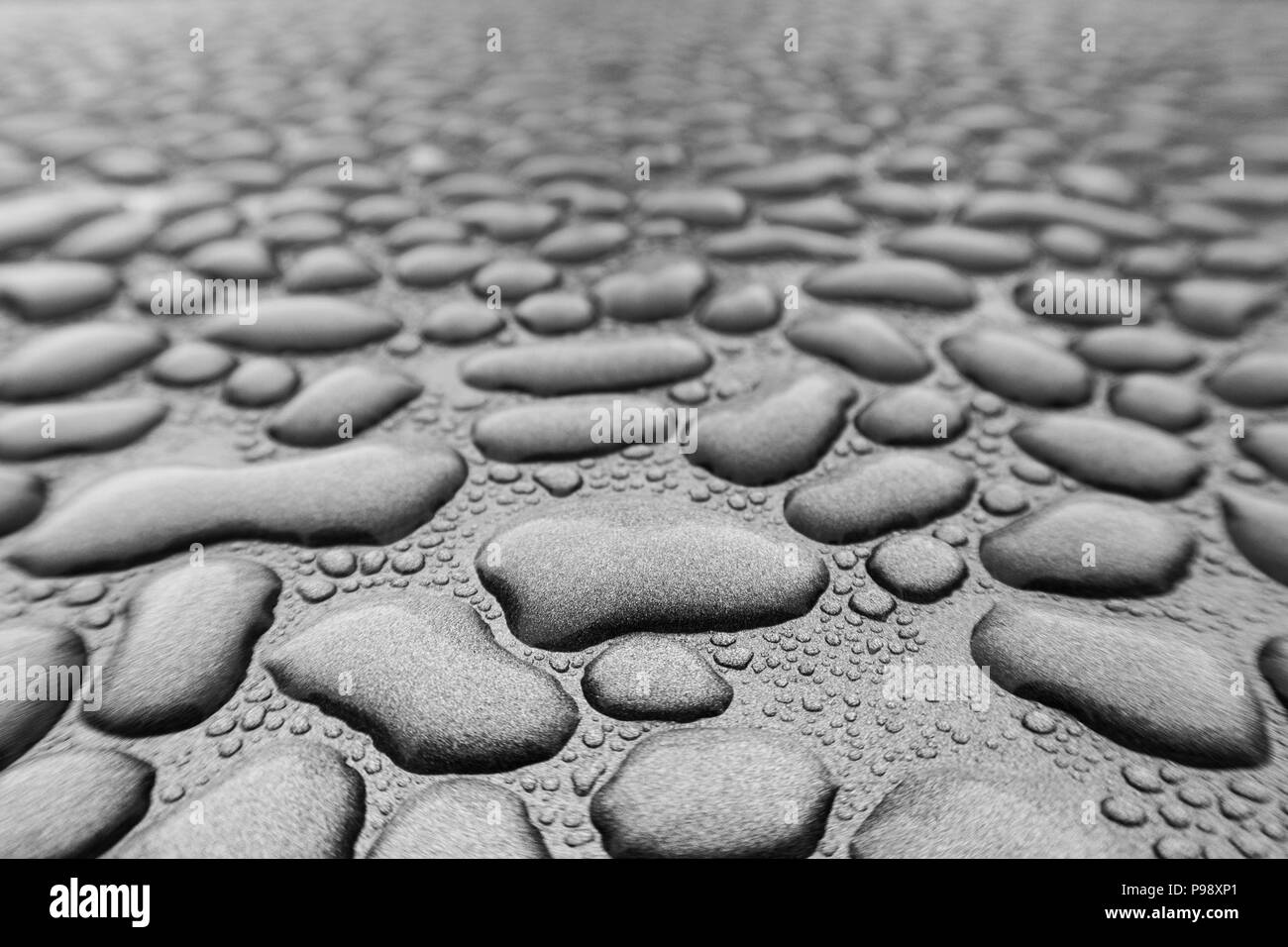 L'acqua piovana ha realizzato innumerevoli singole perle di acqua che sembrano aver riunito e dissolvenza in apertura per la distanza Foto Stock