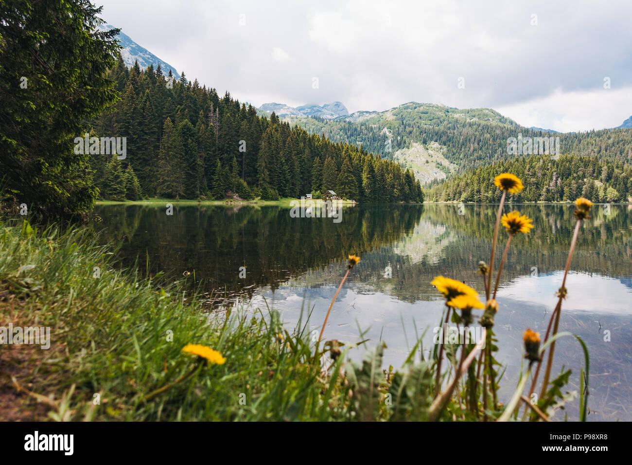 La foresta e limpide acque blu di Crno Jezero (lago Nero) su una tranquilla giornata estiva nel Parco Nazionale del Durmitor, Montenegro Foto Stock