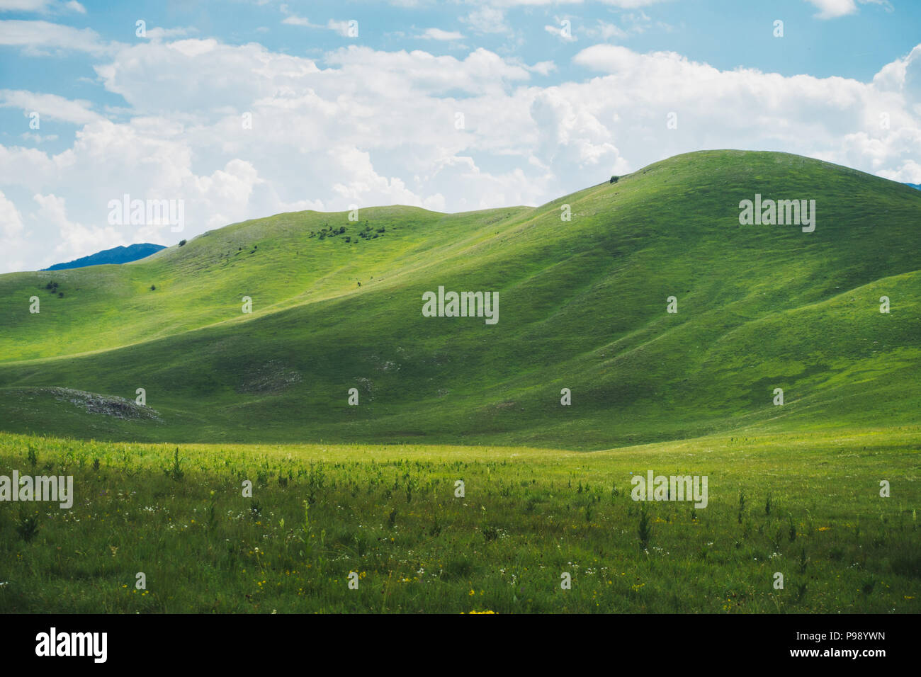Verde di rotolamento colline erbose in Europa, ricorda il celebre Windows XP  lo sfondo del desktop Foto stock - Alamy