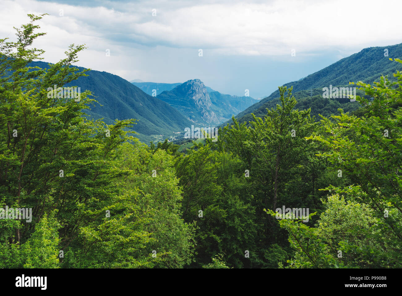 Un'area boschiva montagnosa nei Dinaridi, Bosnia-Erzegovina Foto Stock