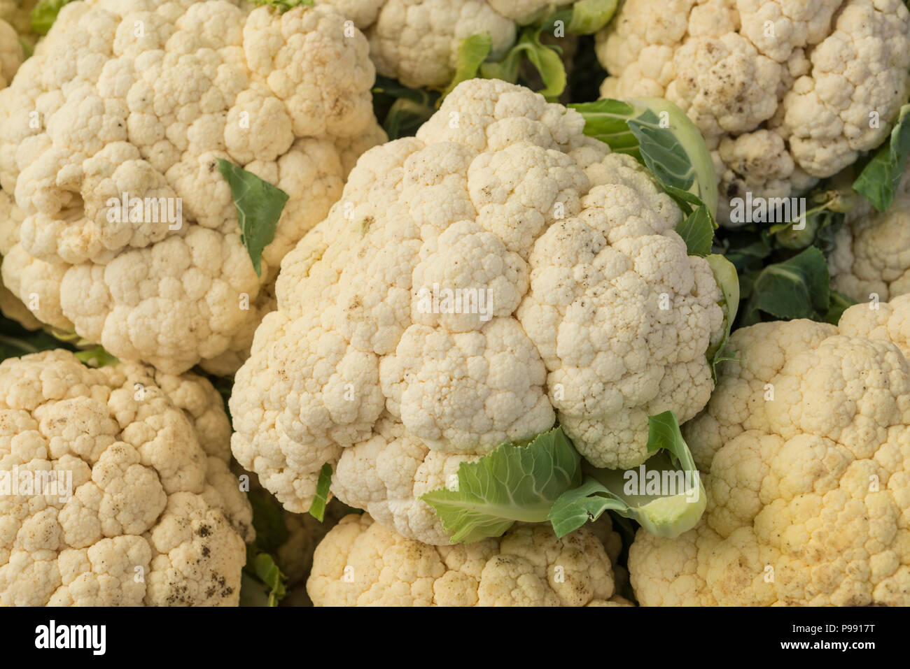 Cavolfiore fresco nel mercato Foto Stock