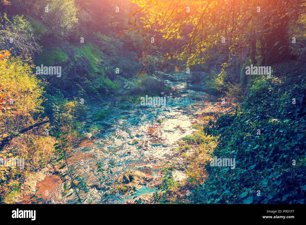 Parco vicino a Tbilisi city in autunno. Fiume di montagna. Paese Georgia Foto Stock