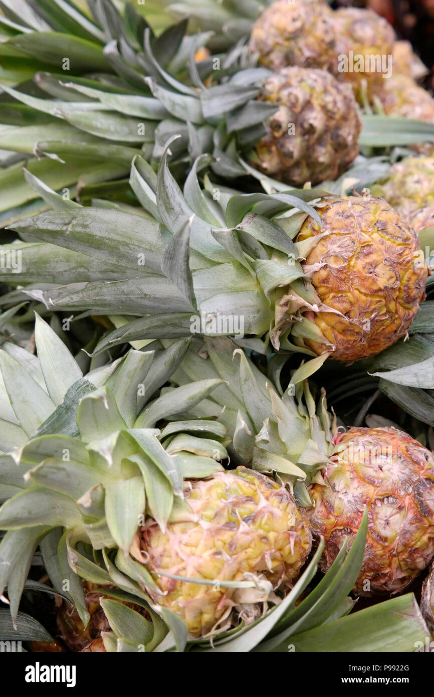 Ananas sul supporto del mercato Foto Stock
