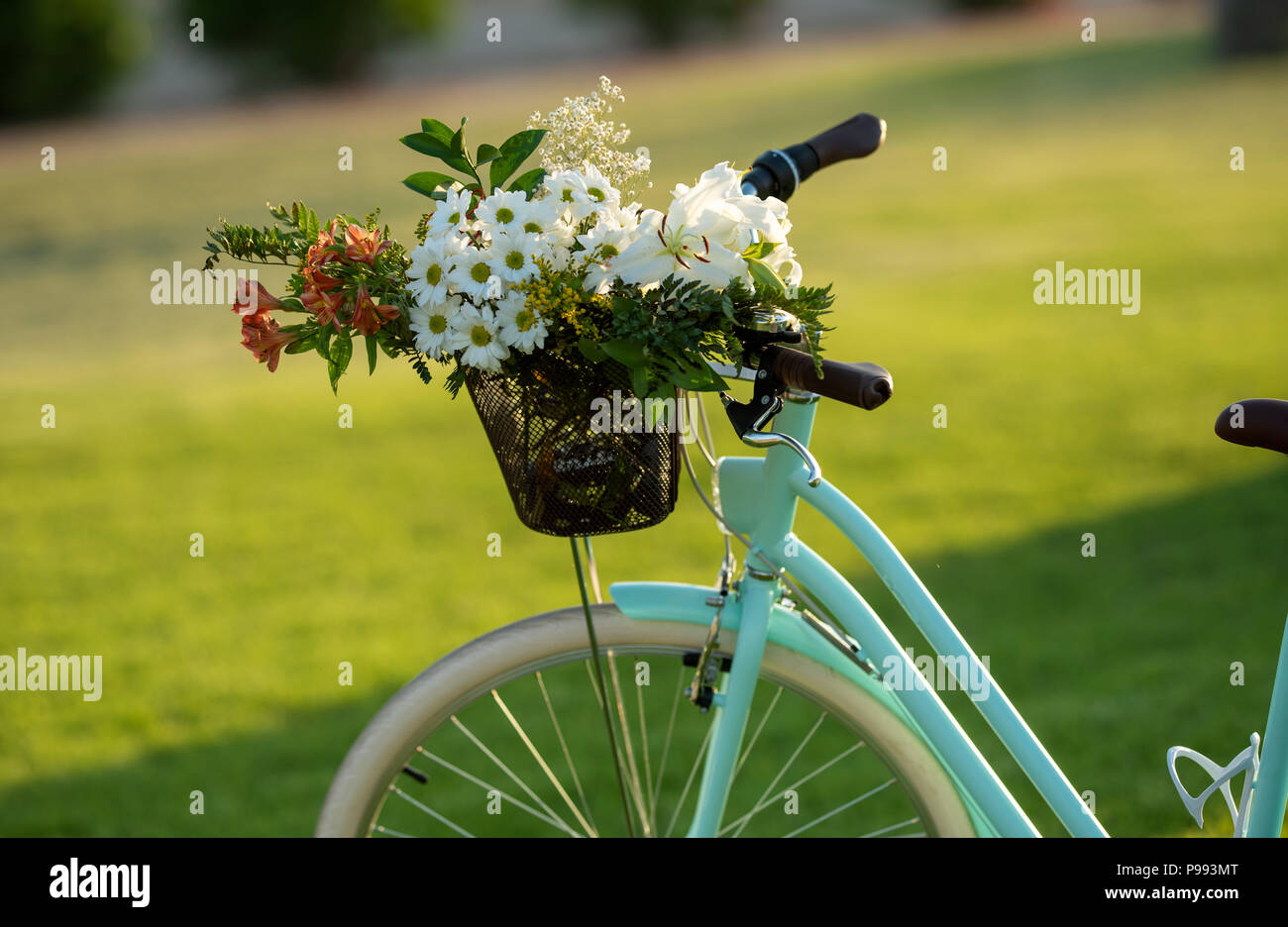Bella blu bicicletta con un cestino di fiori Foto Stock