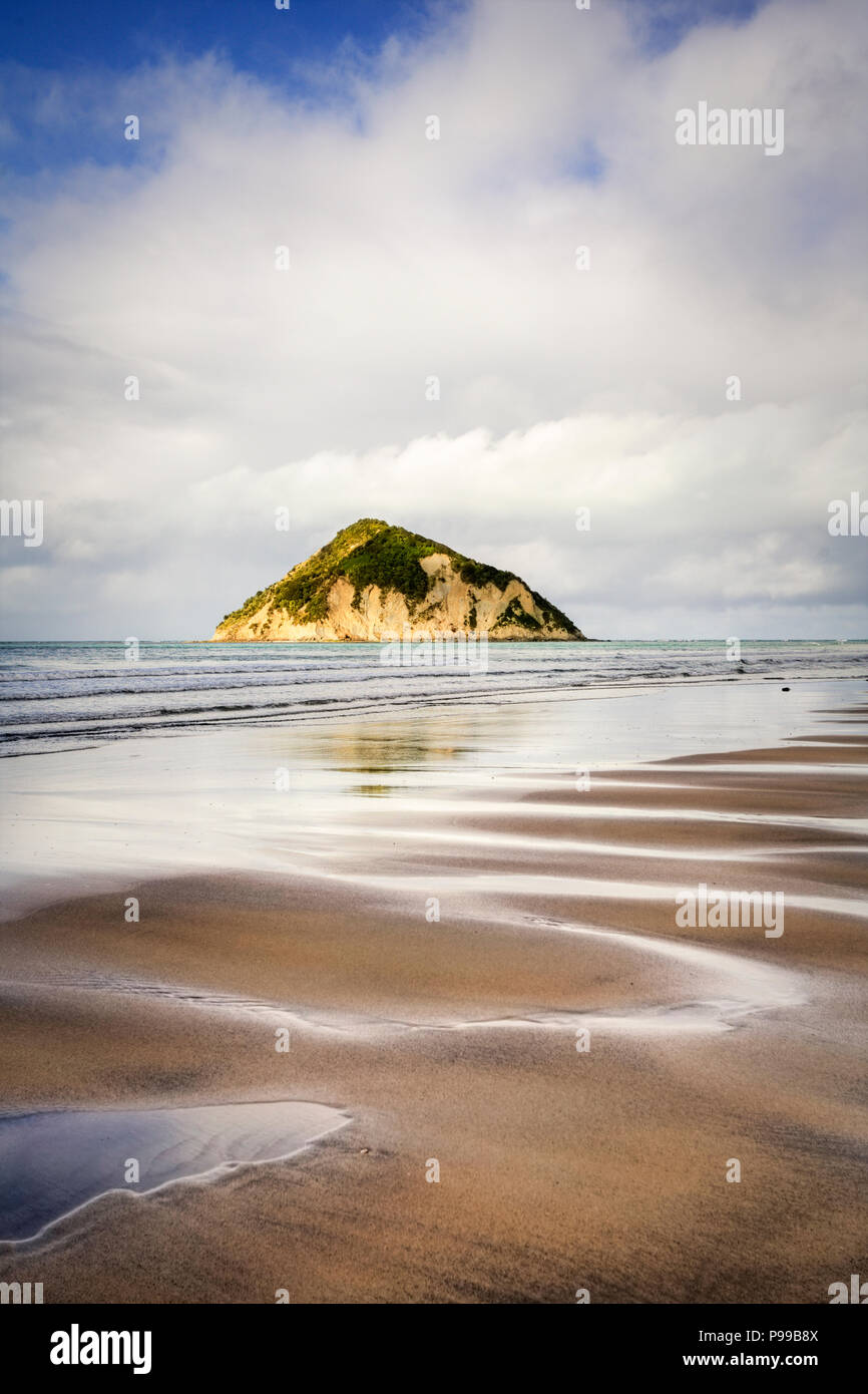 La spiaggia di Anaura Bay sulla costa est dell'Isola del nord della Nuova Zelanda, con Motuoroi isola. Foto Stock