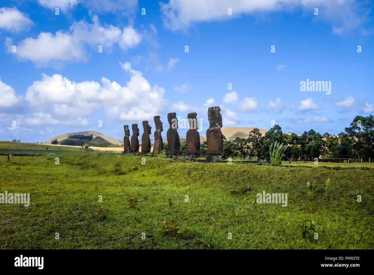 Moais statue, ahu Akivi, isola di pasqua, Cile Foto Stock