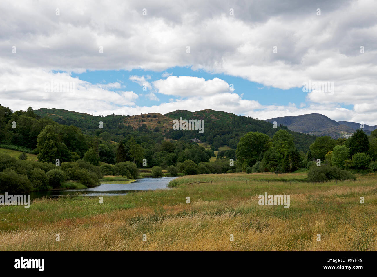 Il fiume Brathay vicino Skelwith Bridge, Parco Nazionale del Distretto dei Laghi, Cumbria, England Regno Unito Foto Stock