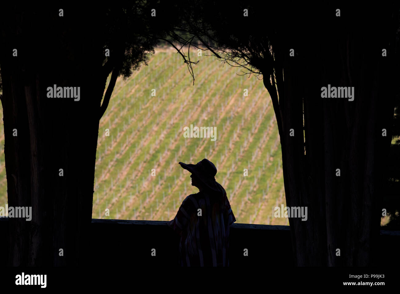 Badia a Passignano, Passignano, Toscana Italia. Giugno 2018 Modello rilasciato donna indossando grande estate hat nella Badia di Passignano. L'Abbazia di Passignano Foto Stock