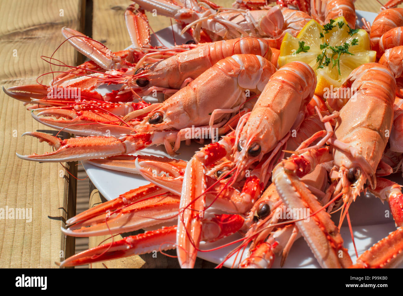 Pescato localmente piatto di gamberi scozzese su un luminoso giorno Foto Stock