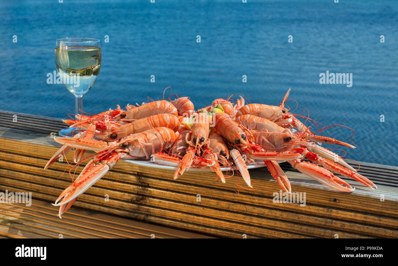Pescato localmente piatto di gamberi scozzese con il vino in riva al mare Foto Stock