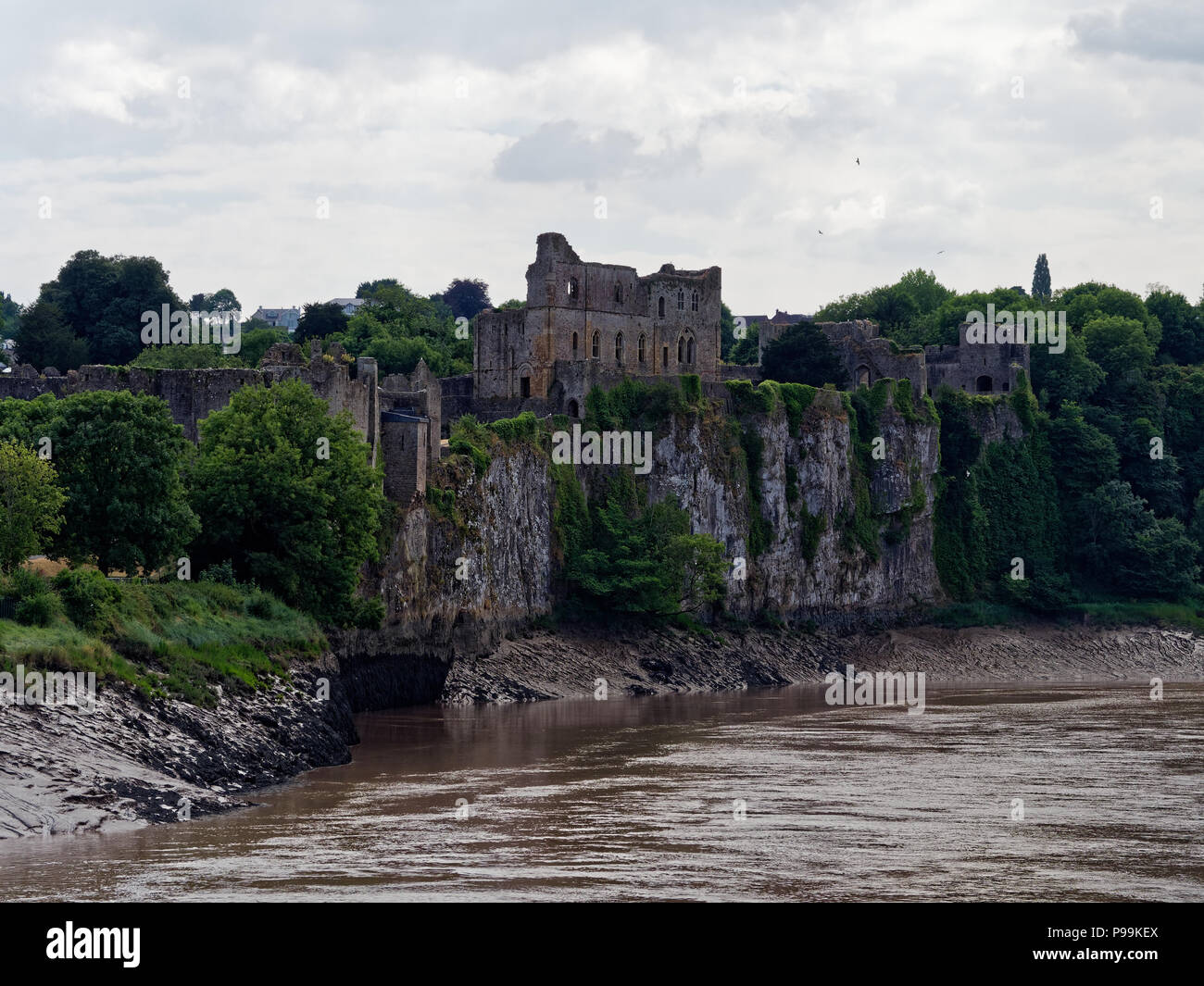 Chepstow Castle, Gwent, Monmouthshire. Regno Unito Foto Stock