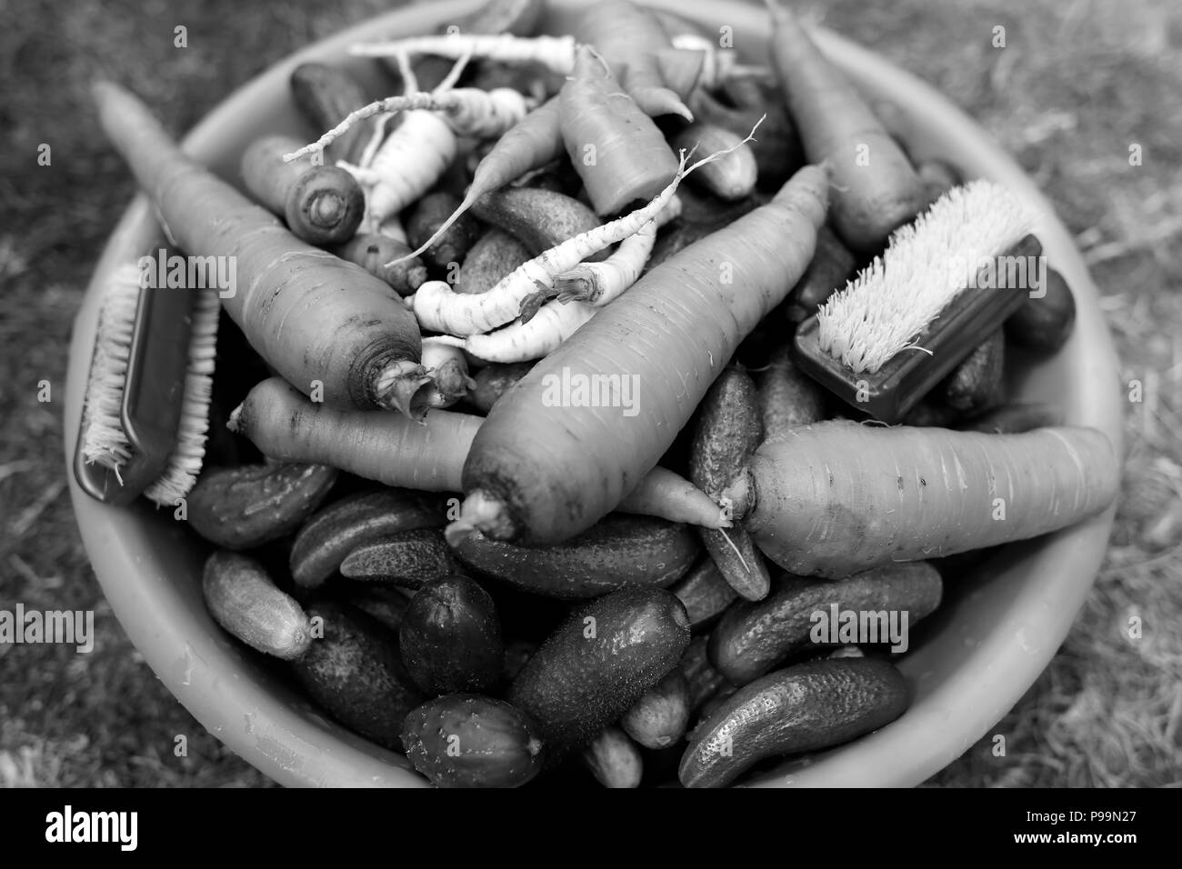 Organici di cetrioli e carote in una ciotola visto dal di sopra, la preparazione di sottaceti Foto Stock