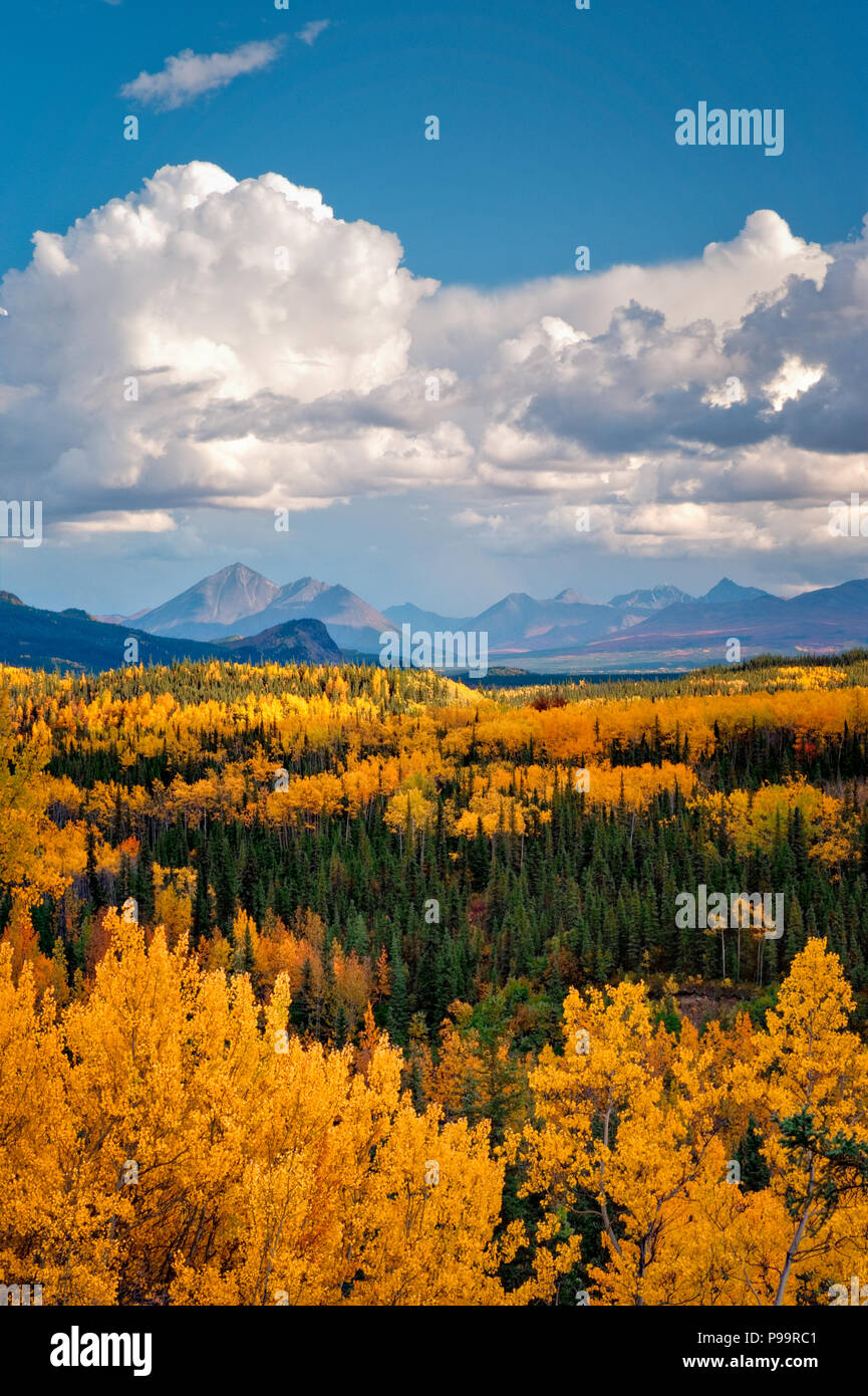 Caduta scenic nel Parco Nazionale di Denali, Alaska Foto Stock