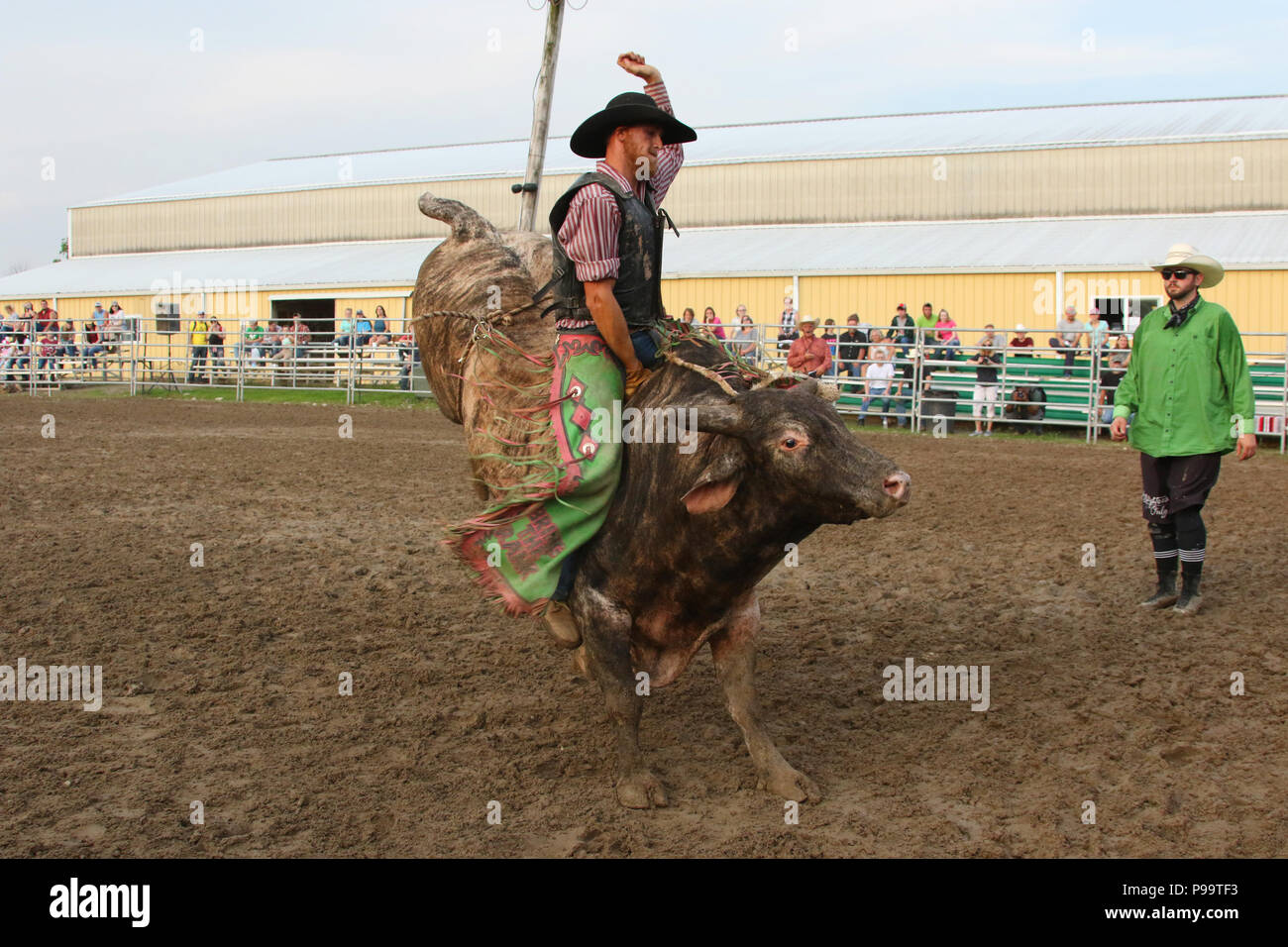 Bull rider in azione. Piccola città settimanale di toro di equitazione come sport. Fox Hollow Rodeo. Waynesville, Dayton, Ohio, Stati Uniti d'America. Foto Stock