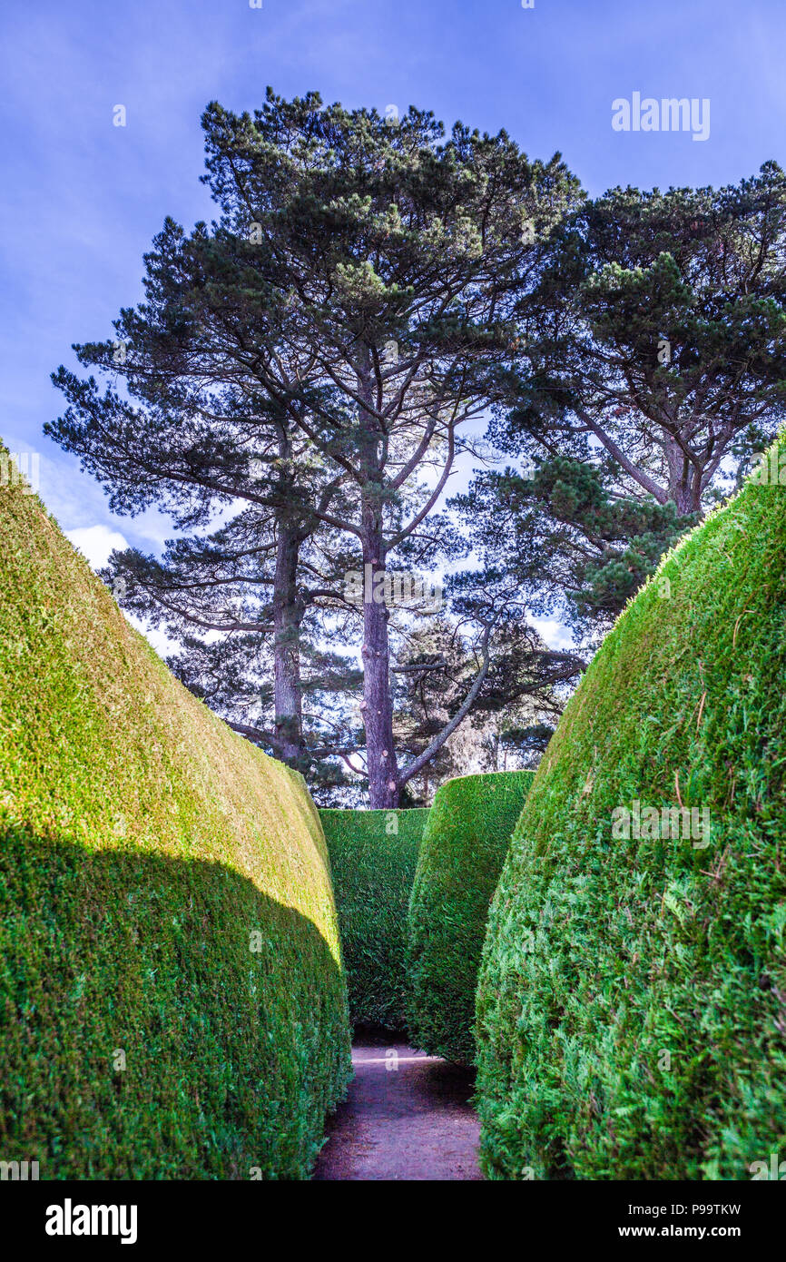 Alberi di alto fusto e verde giardino con passaggio pedonale - immagine verticale Foto Stock