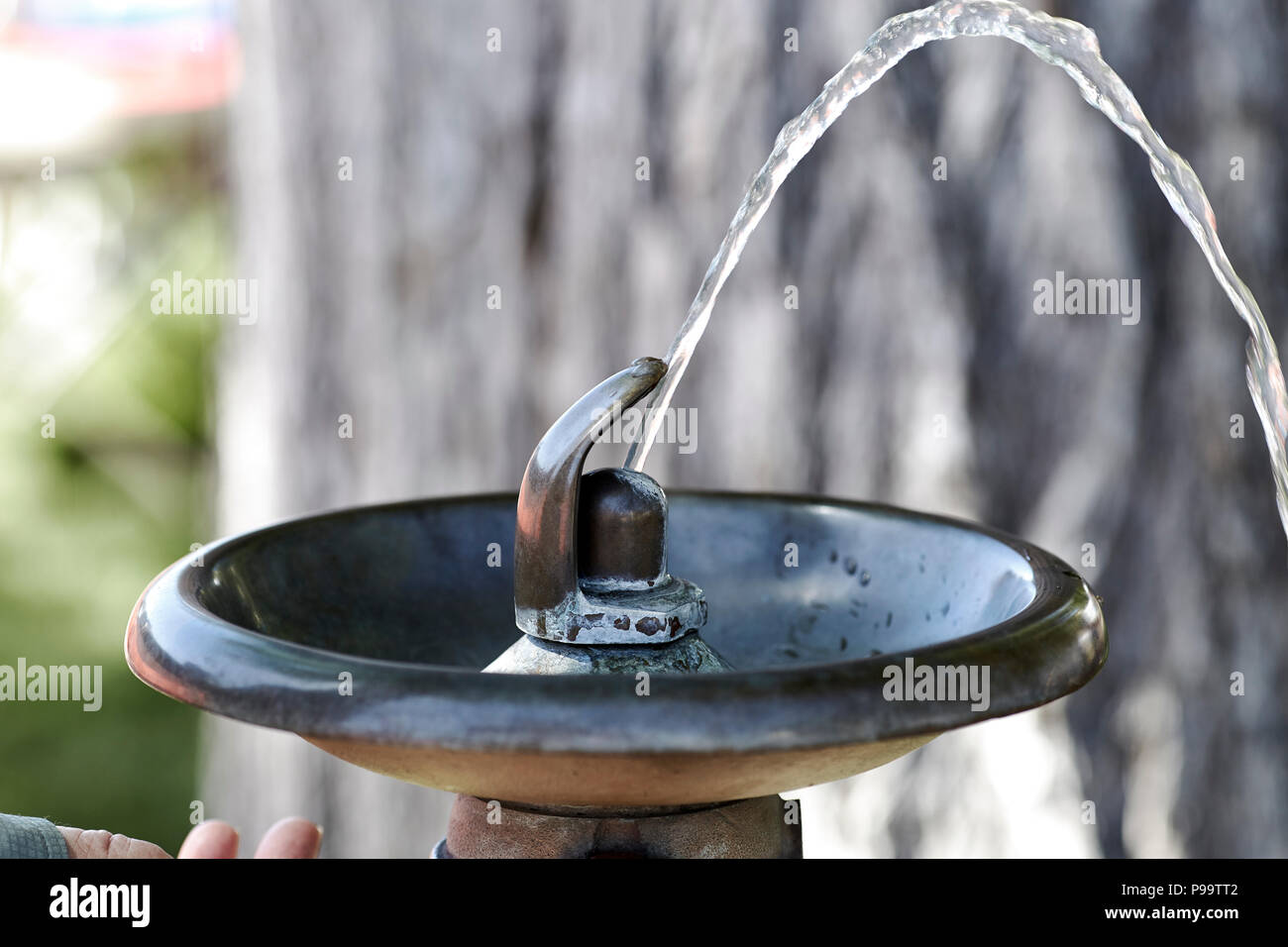 Mano d'uomo gira su un outdoor fontana potabile Foto Stock